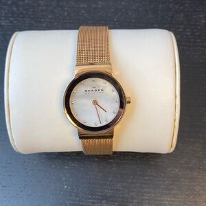 Skagen Women's Freja Mother of Pearl Mesh Watch